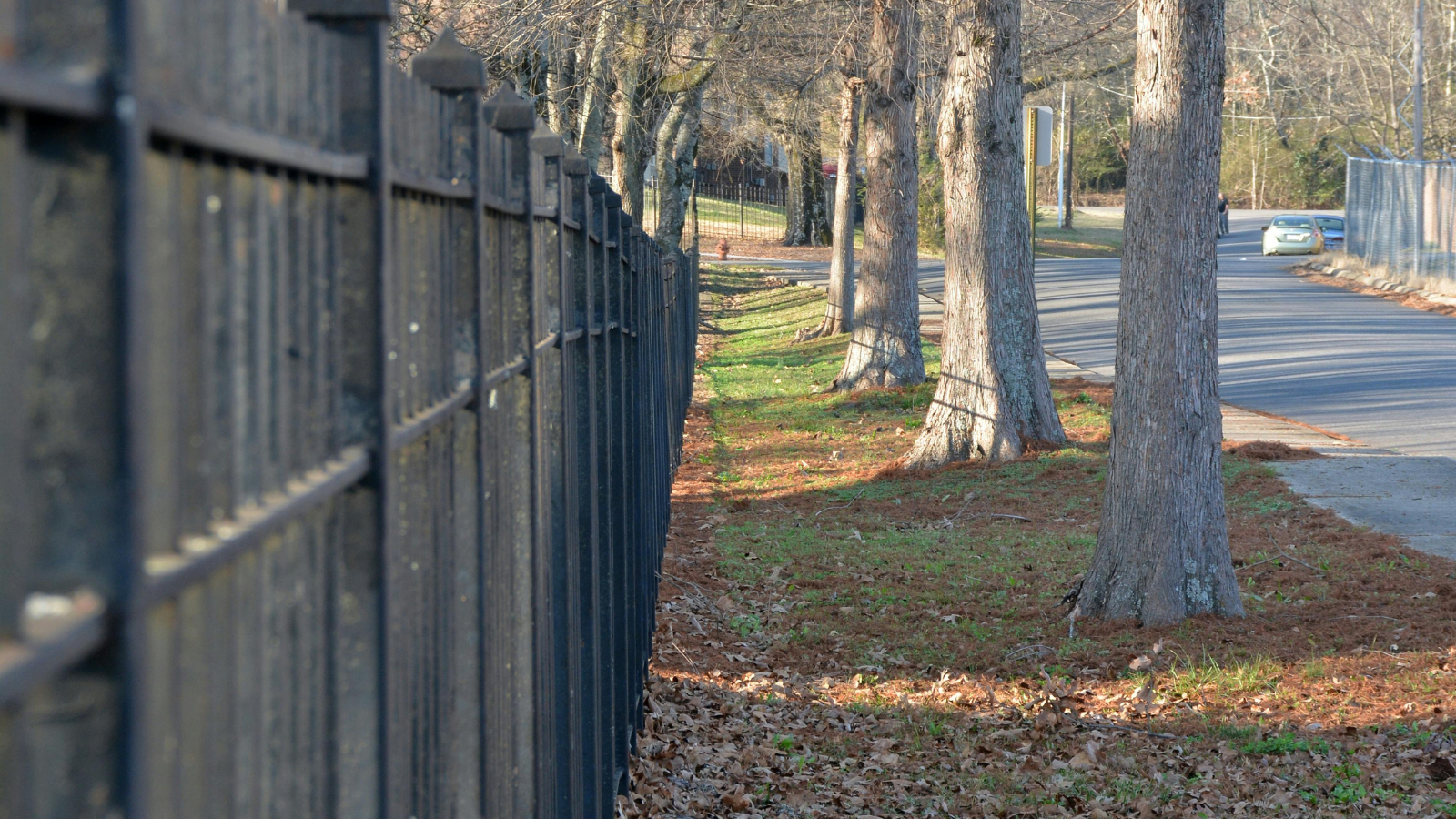 Fence-line Clearing For Erosion Control & Fire Protection in Rosedale