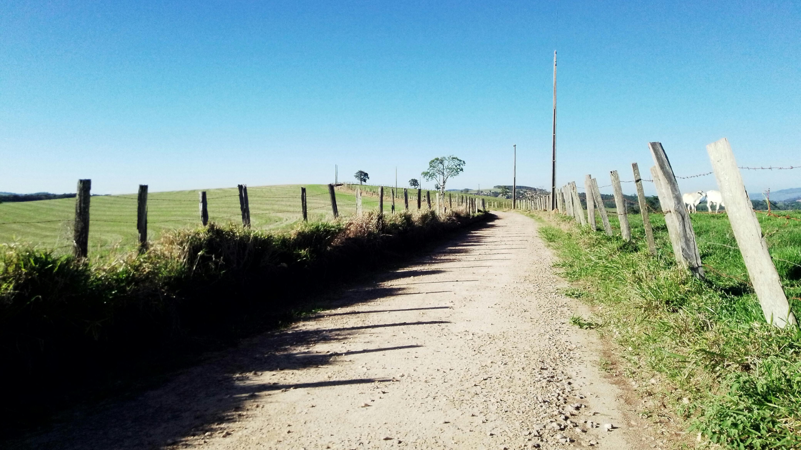 Fence-line Clearing and Erosion Control Experts Serving Miriamvale Properties