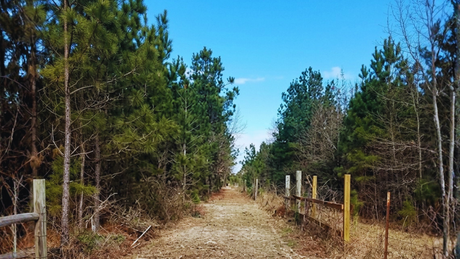 Fence-line Clearing by 1770