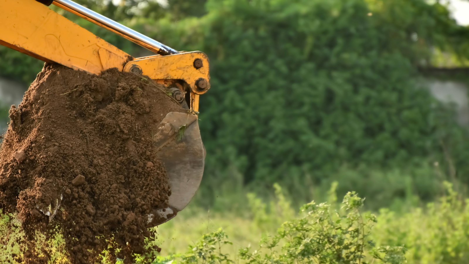 Rosedale Earthmoving Services by 1770